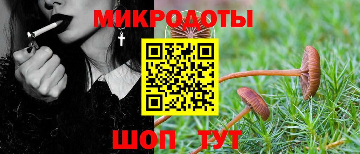 Псилоцибиновые грибы Psilocybe Волжский